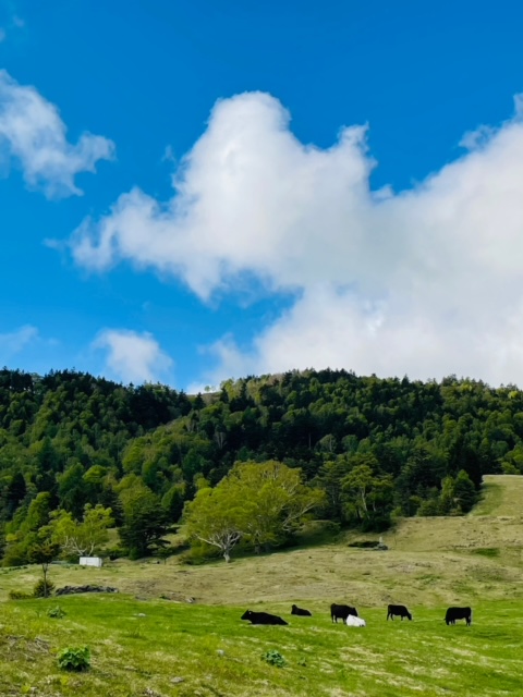 山田牧場