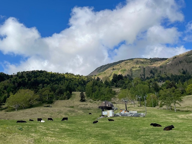 山田牧場