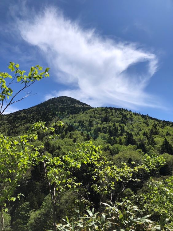 岩菅山