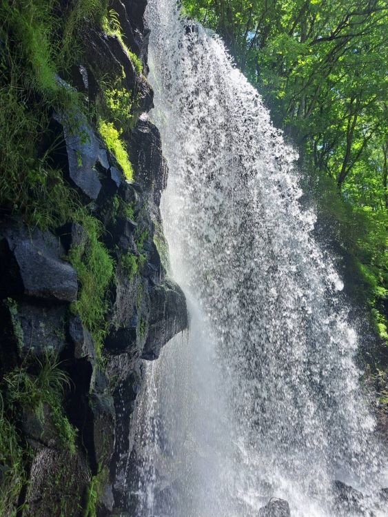 唐沢の滝