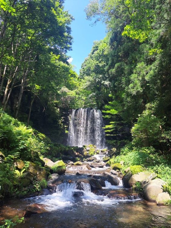 唐沢の滝