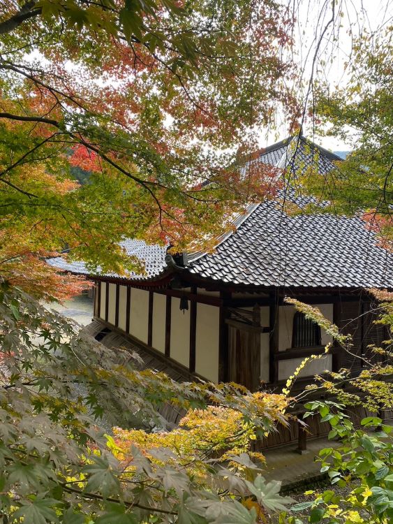 清水寺