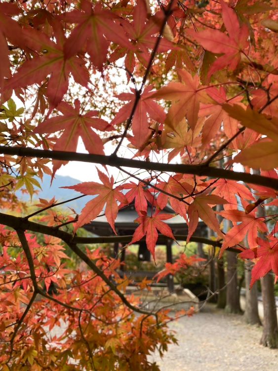 清水寺