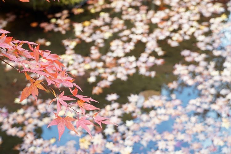 霊松寺