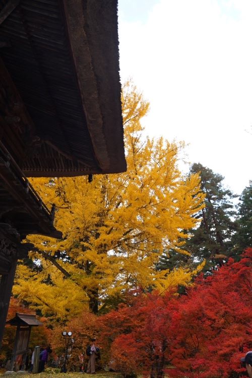 霊松寺