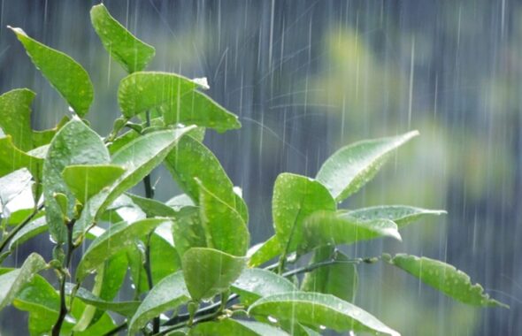 台風