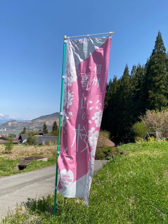 水中のしだれ桜