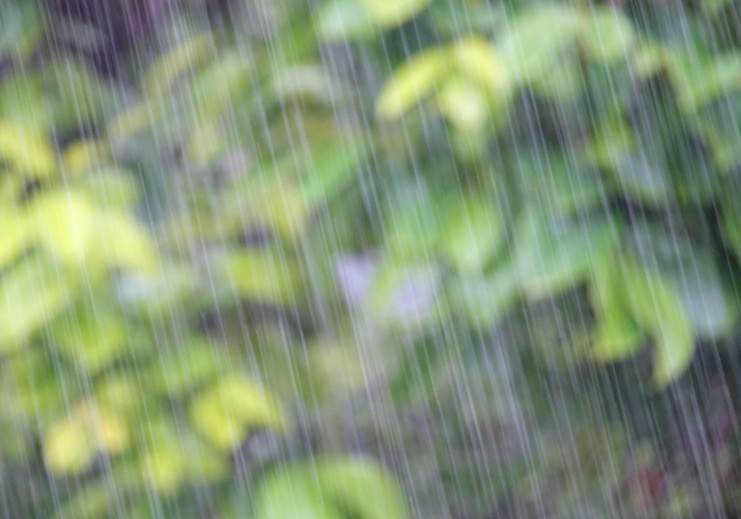 台風