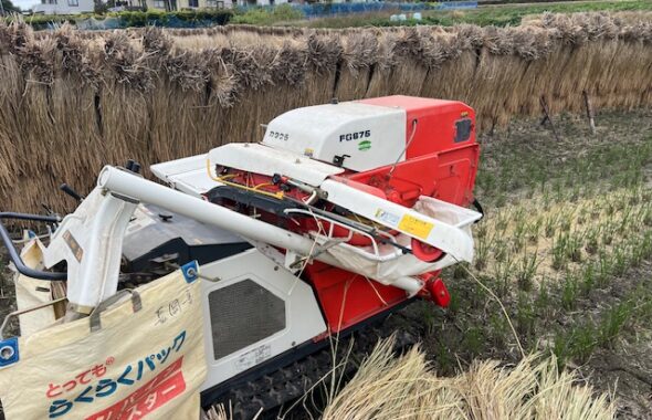 自宅　脱穀作業