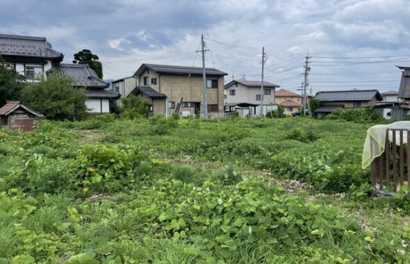 新規分譲地