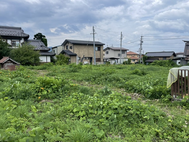新規分譲地
